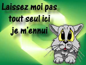 chat